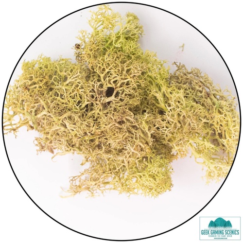 Geek Gaming Scenics Lichen - Reindeer Moss (Icelandic Moss) Brown